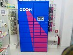 Ozon Box (Kosmonavtov Street, 15), parcel automat