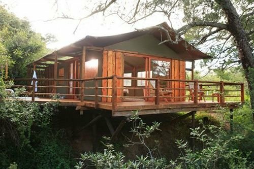 Гостиница Barefoot Addo Elephant Lodge