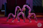 Circus studio Grotesque (Grabtsevskoye Highway, 112Б), club deportivo, sección