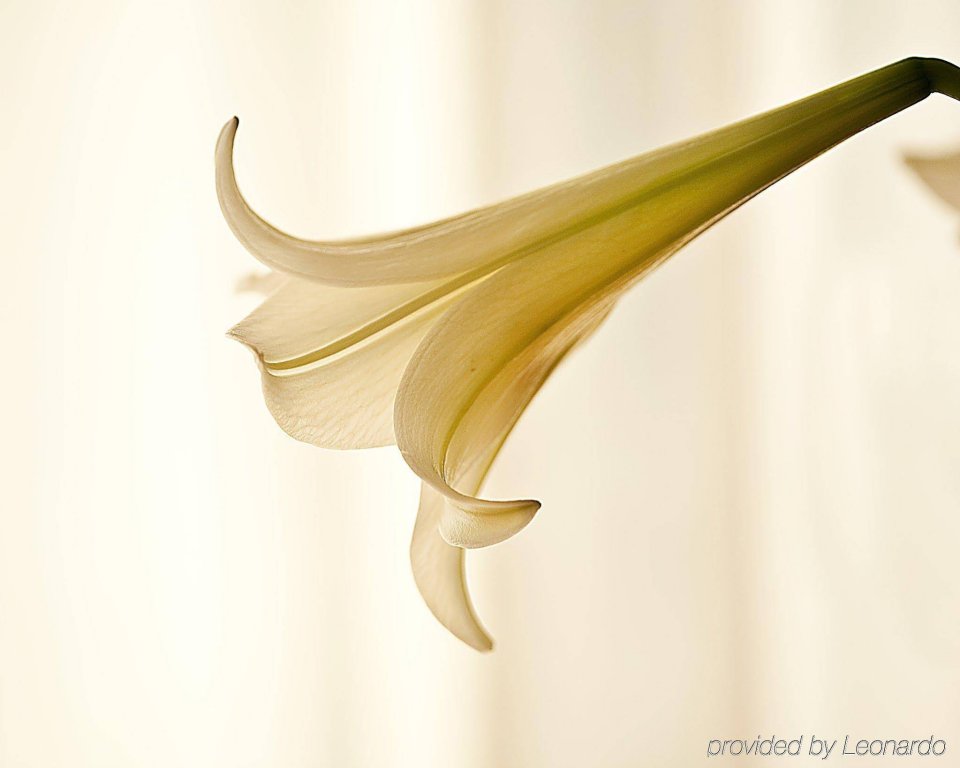 Фото Hotel Norge by Scandic