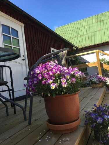 Гостиница Skummeslöv B&b в Лене Халланд