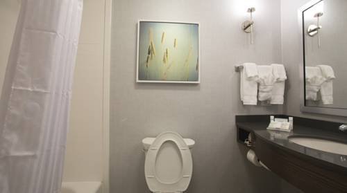 Фото Hilton Garden Inn Chesapeake/Suffolk