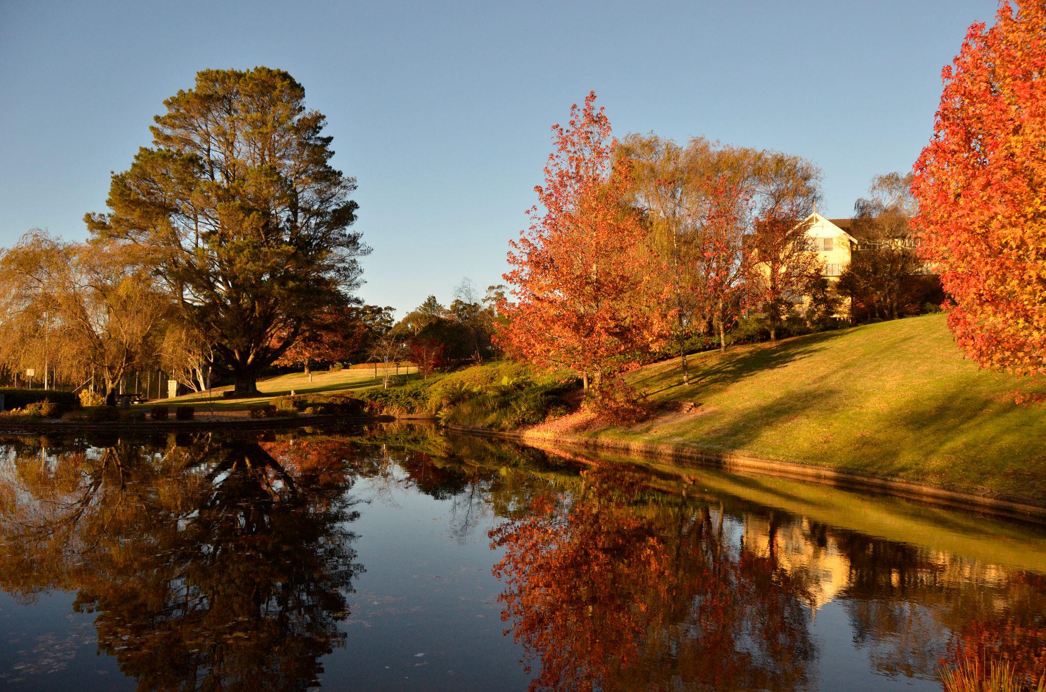 Фото Fairmont Resort & SPA Blue Mountains, MGallery by Sofitel