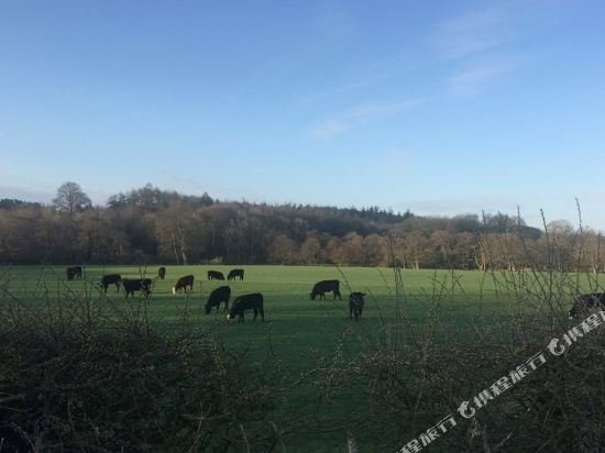 Фото The Anglers Arms