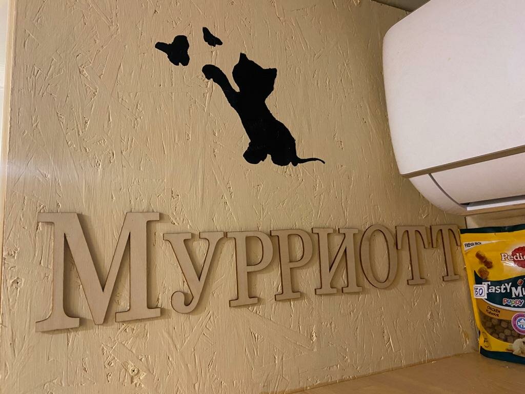 Фото: Мурриотт, гостиница для животных, ул. Карякина, 15, Краснодар - Яндекс Кар