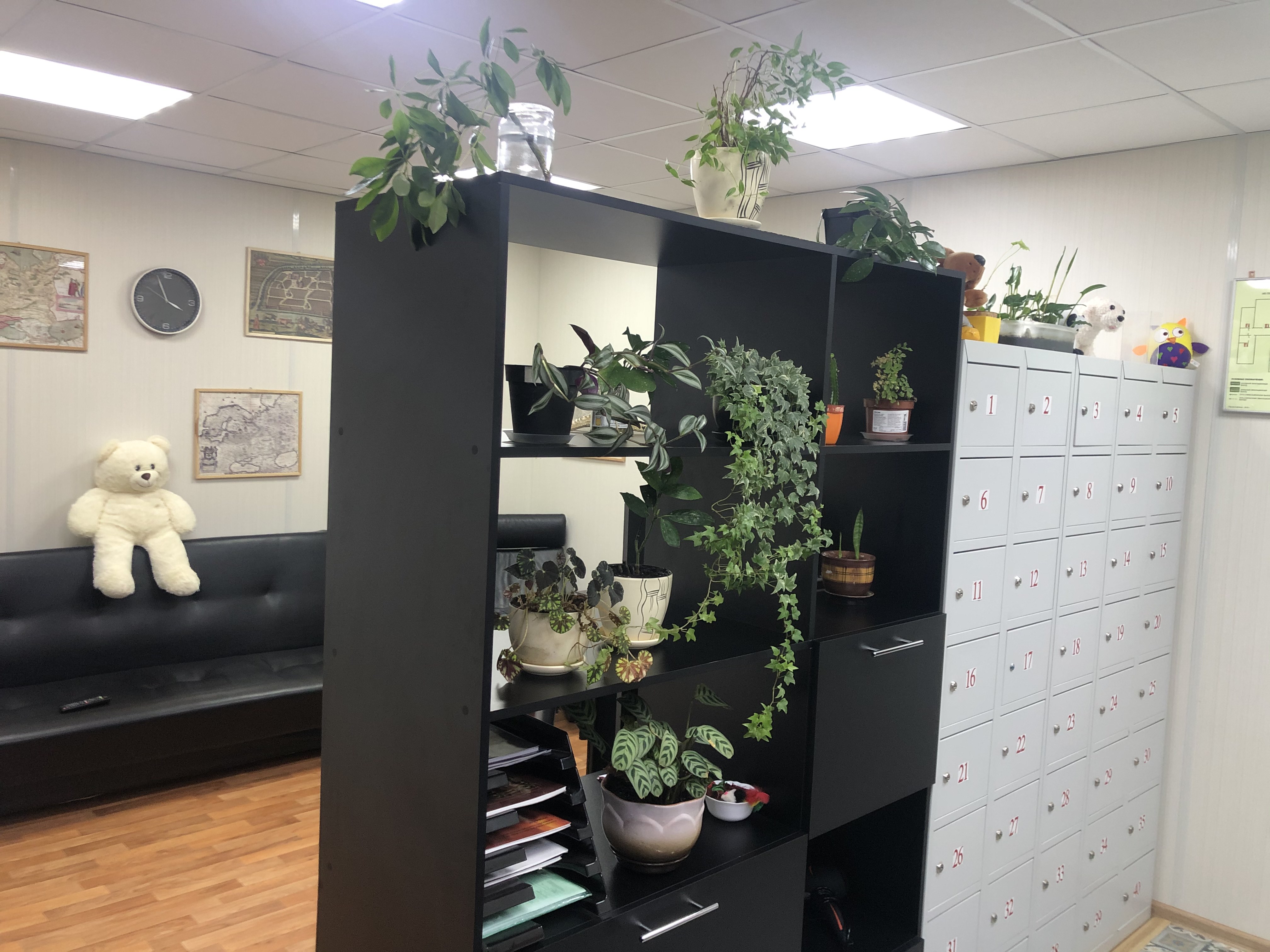 Фото Стар Мякинино