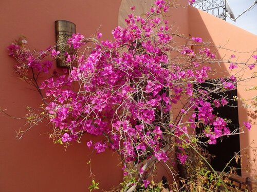Гостиница Riad Itrane в Марракеше