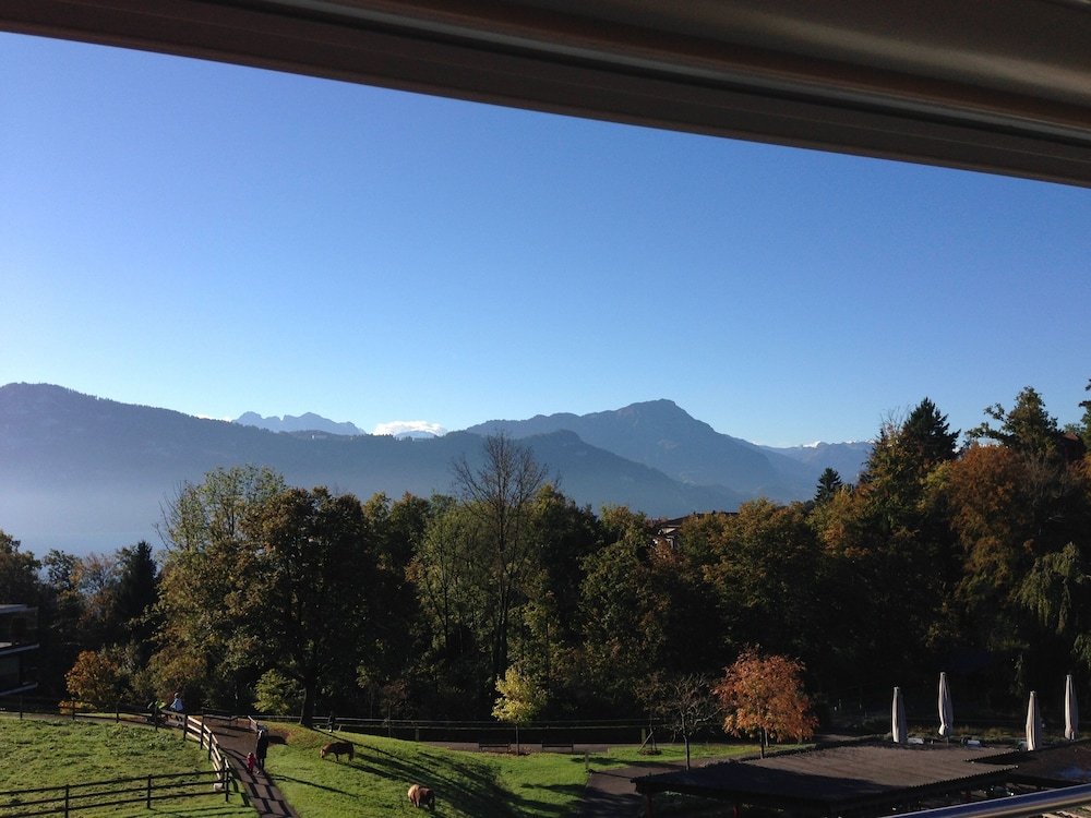 Фото Hotel Restaurant Balm Meggen