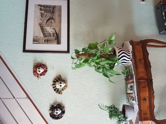 Фото Hotel Venezia