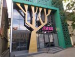 Diva-sport (Lyahova Street, 11), fitness club