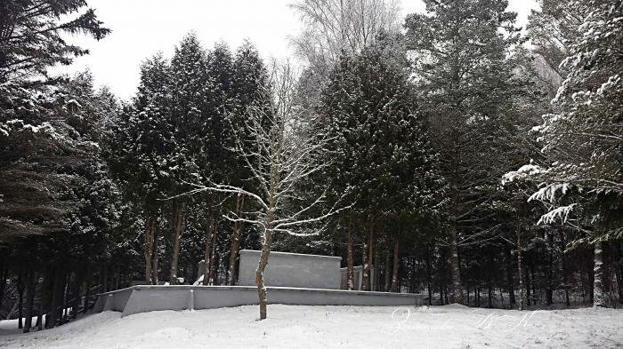 Monument, memorial Советским воинам, Utena County, photo