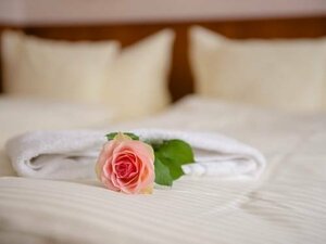 Гостиница Hotel Beek