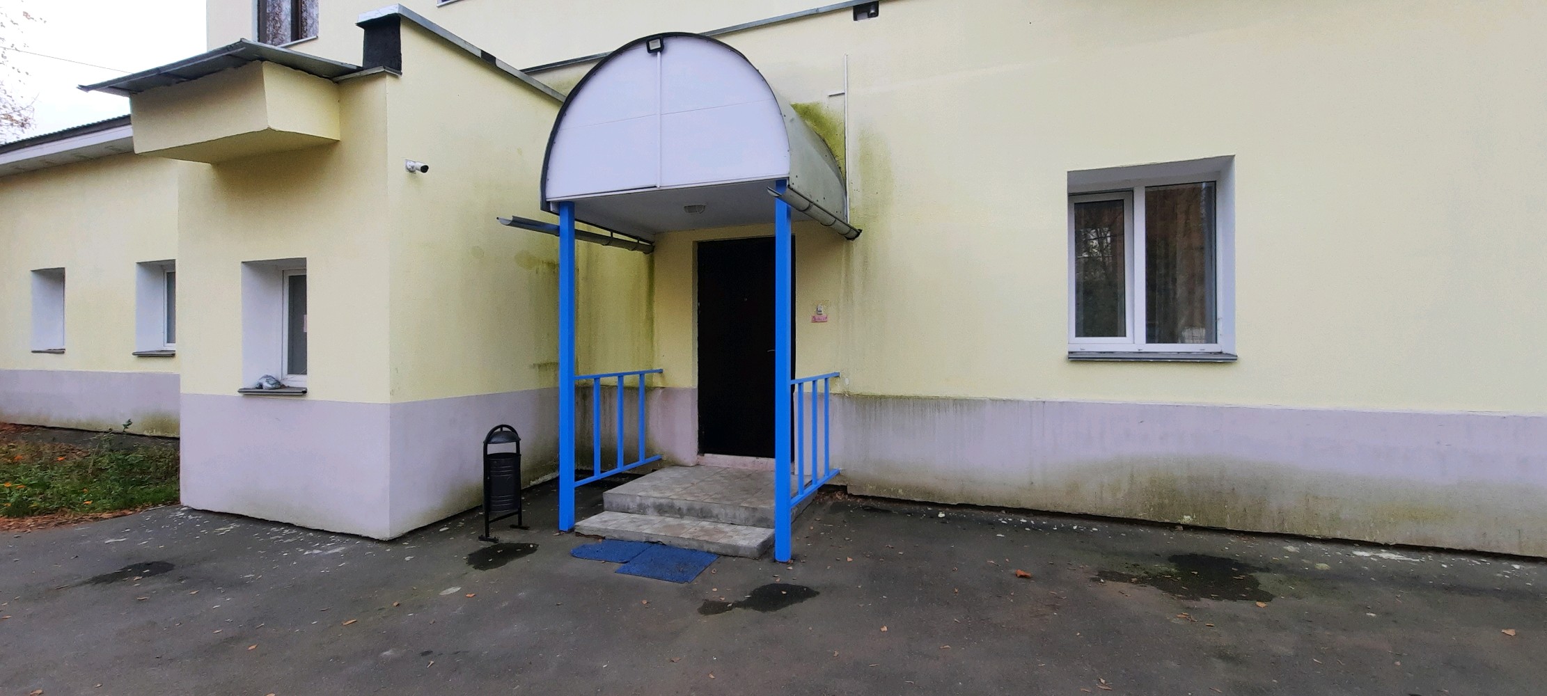 Фото Ленивый жираф