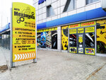 Auto Mehanika (vulytsia Nechui-Lievitskoho, 35А), auto parts and auto goods store