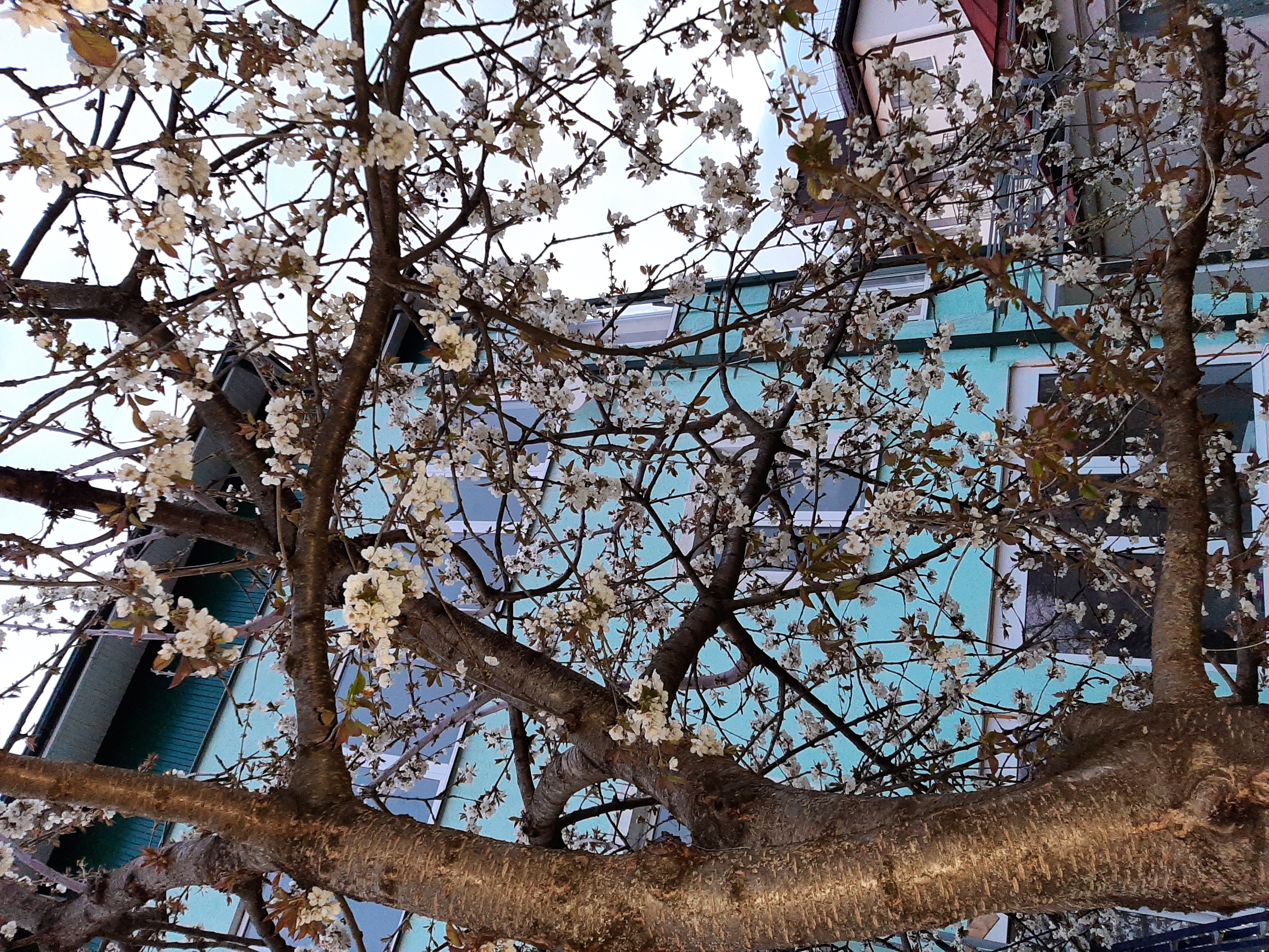 Фото Тамара