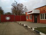 Родник (Konstantina Zaslonova Street, 183), alcoholic beverages wholesale