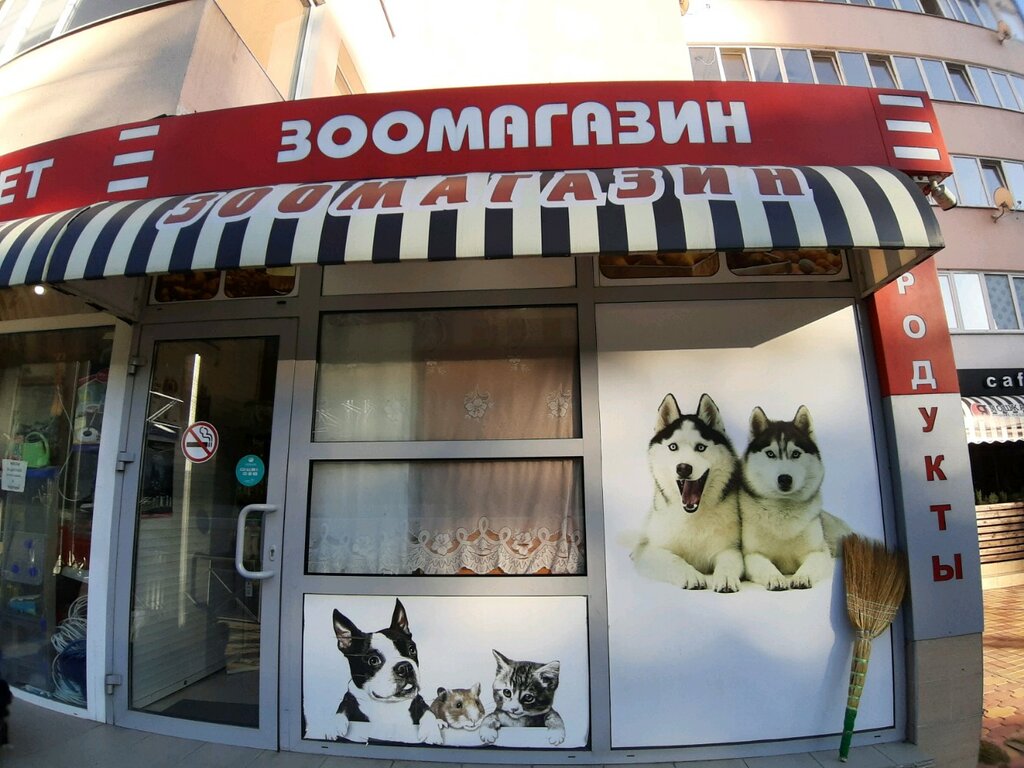 Зоомагазин Сочи Интернет Магазин