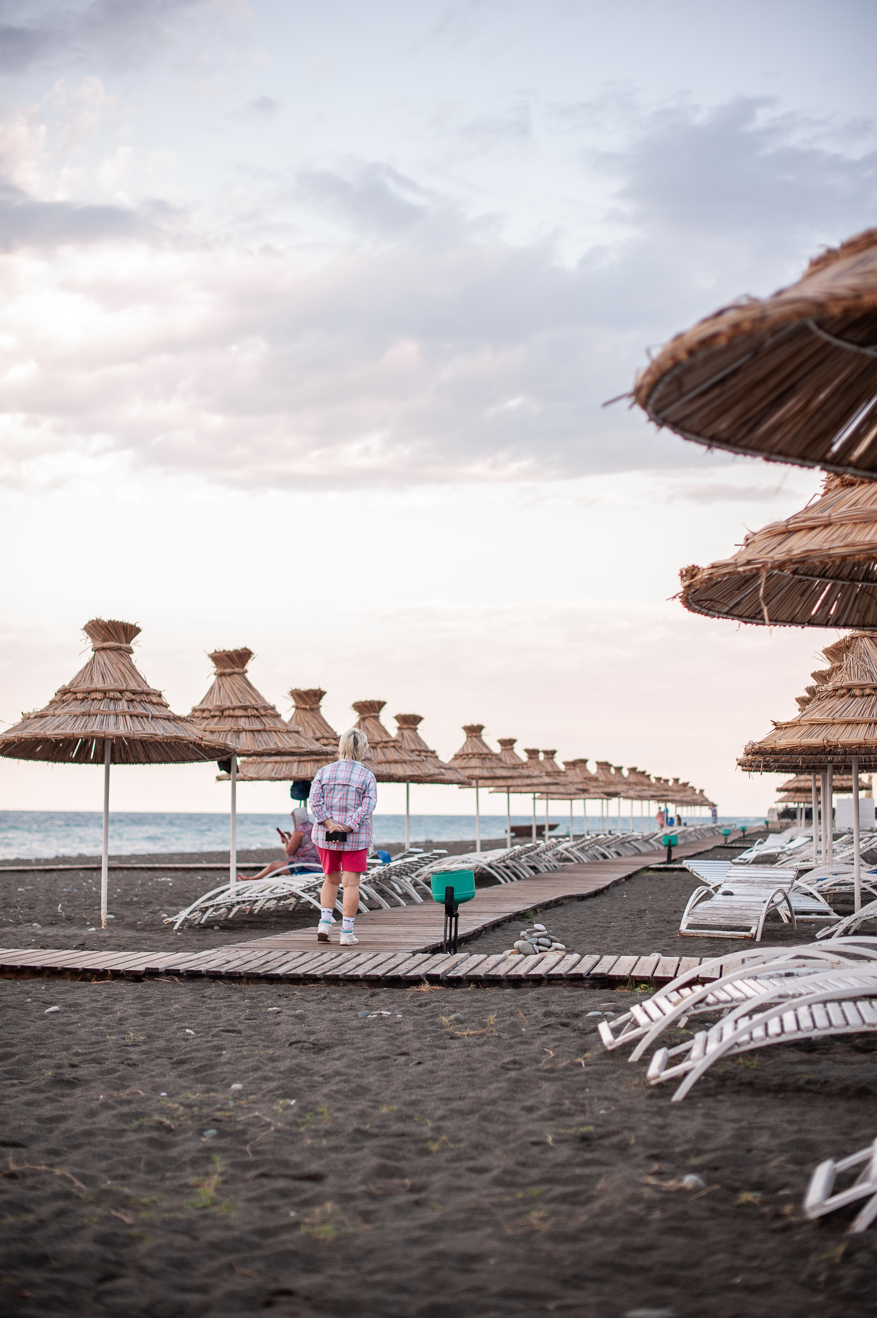 Фото Самшитовая роща