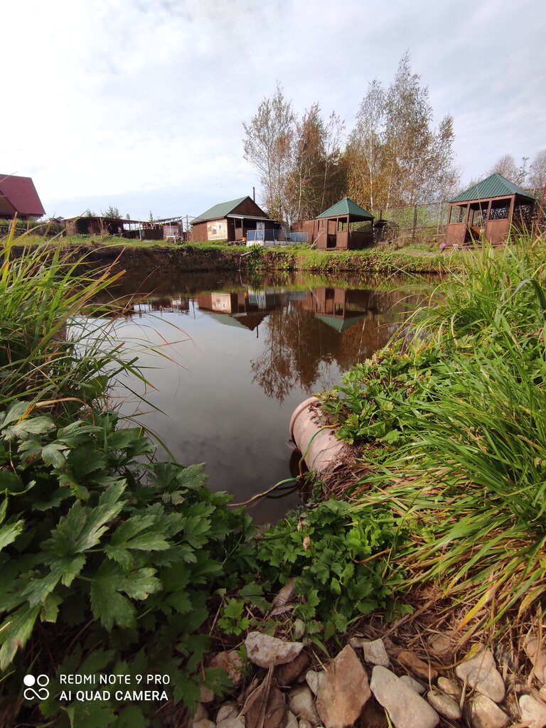 Fisheries, fish farming Рыбаград, Moscow and Moscow Oblast, photo