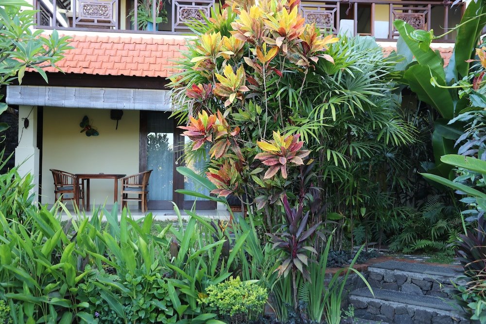 Фото Alamanda Lovina