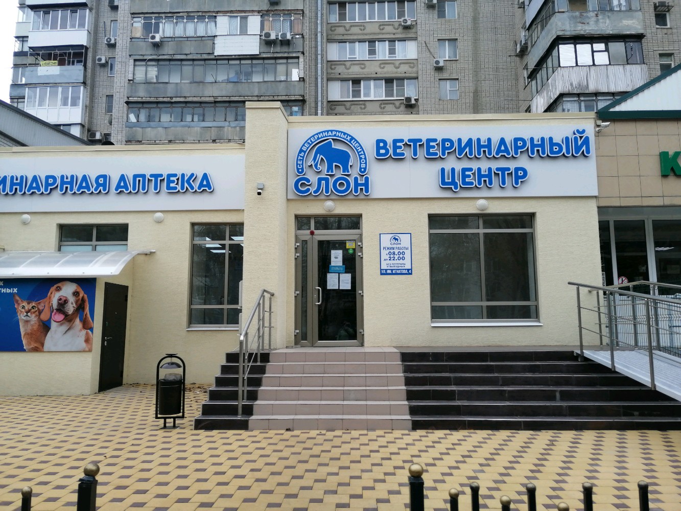 Фото слон ул ленина 14 фото Отзывы о "Слон", Краснодар, Карасунский внутригородской округ, микрорайон Гидрос