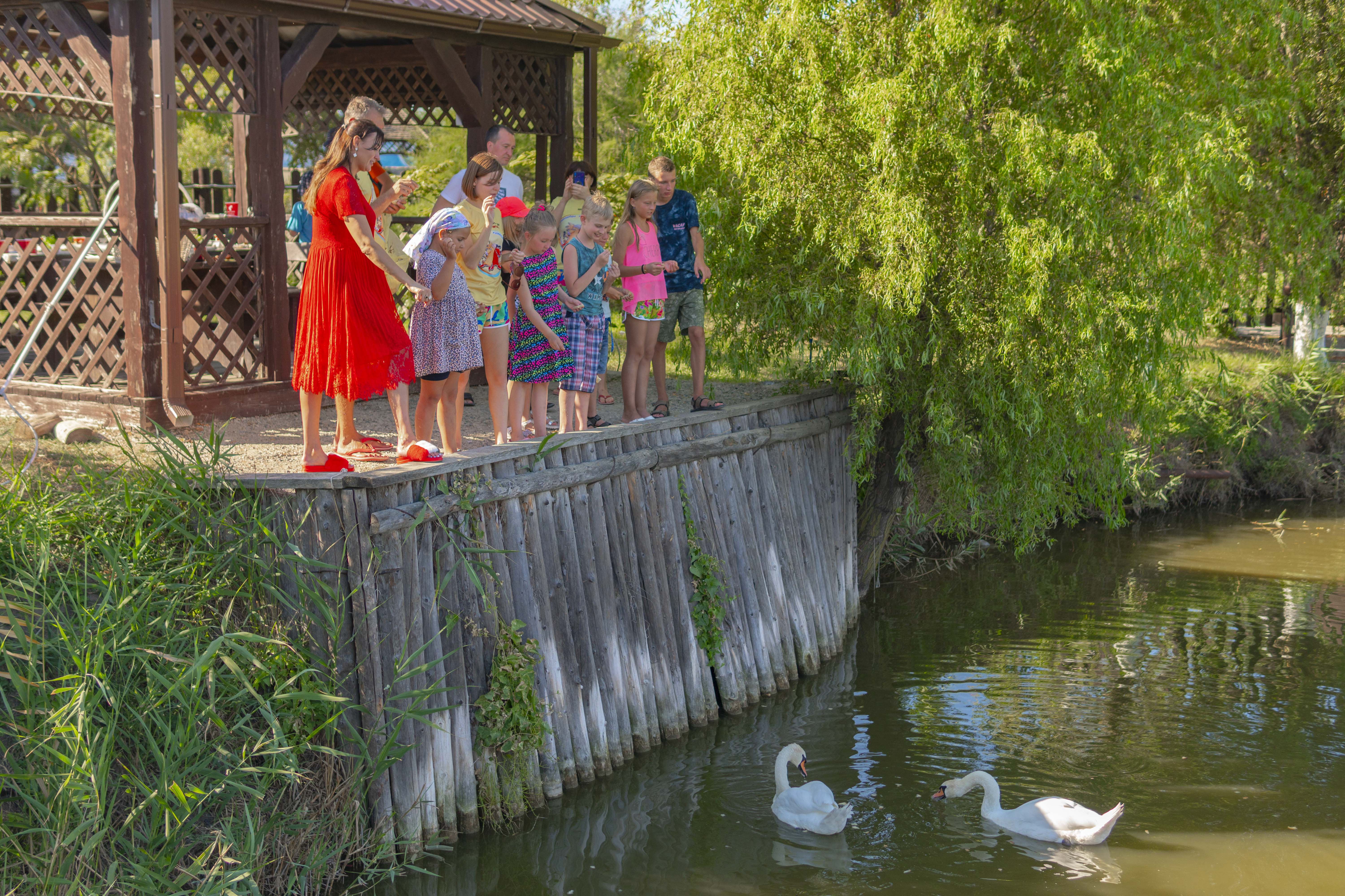 Фото Tizdar Family Resort & SPA