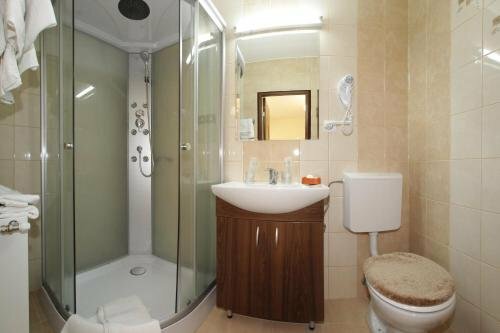 Гостиница Pensiunea Muresul в Муреше