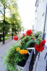 Гостиница Barclay Hotel