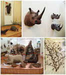 Zoological Museum of Taras Shevchenko National University of Kyiv (Volodymyrska Street, 60), museum