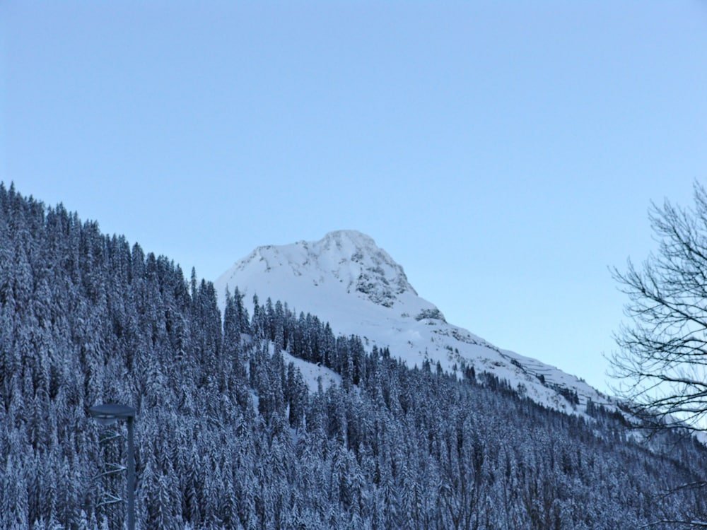 Фото Schindler Hotel