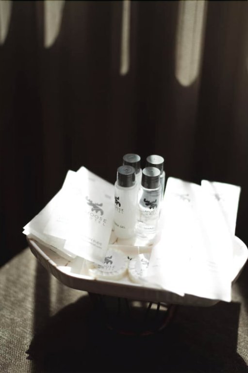 Фото Moose Hotel