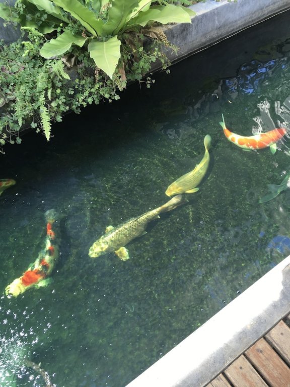 Фото Phetcharat Grand Hotel Maesot