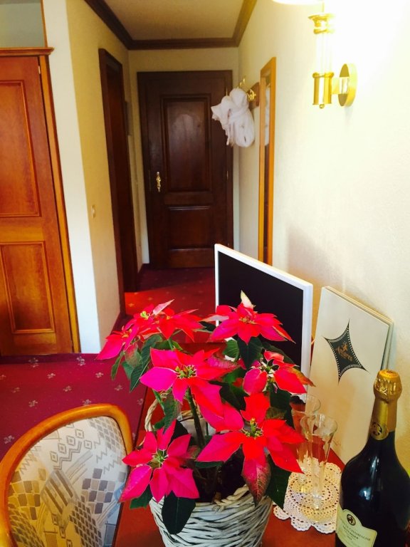 Фото Hotel Antares