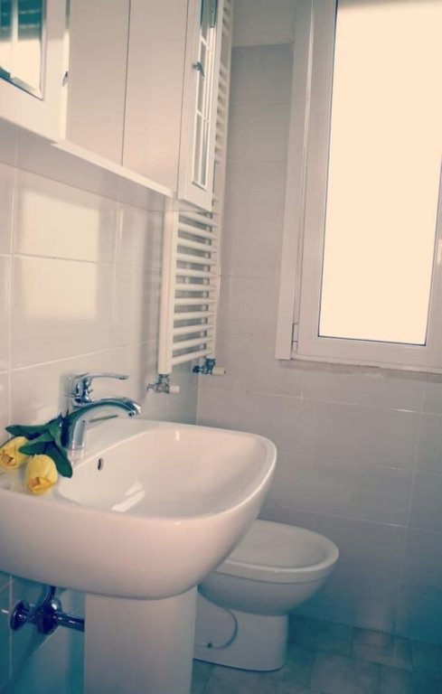 Фото Hotel Amoha