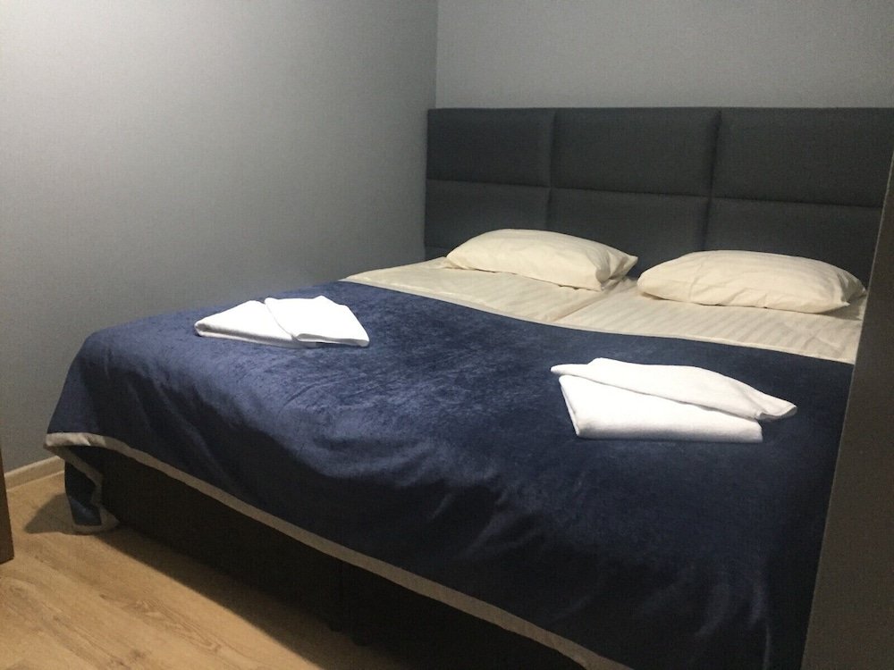 Фото Отель Noel Bakuriani