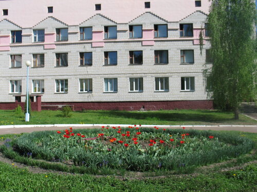 Children's hospital Gomelskaya oblastnaya detskaya clinical bolnitsa meditsinskoy reabilitatsii, Gomel District, photo