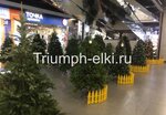 Triumph-elki.ru (Ordzhonikidze Street, 11), christmas trees and christmas decorations