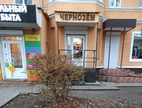Чернозём, магазин семян, Московский просп., 10, Воронеж — Яндекс Карты