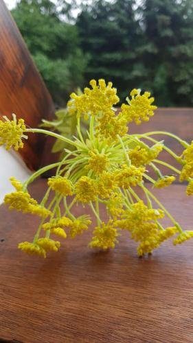 Фото Landhotel Sonnenschein