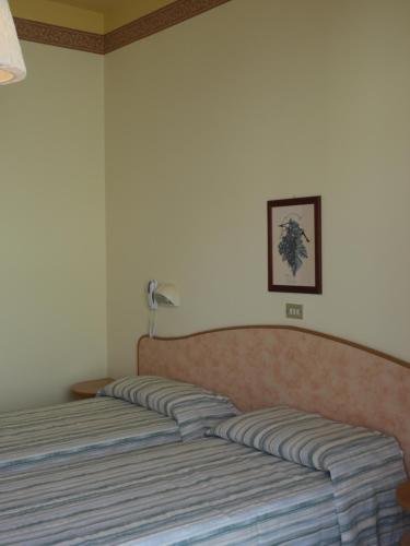 Фото Hotel Anita