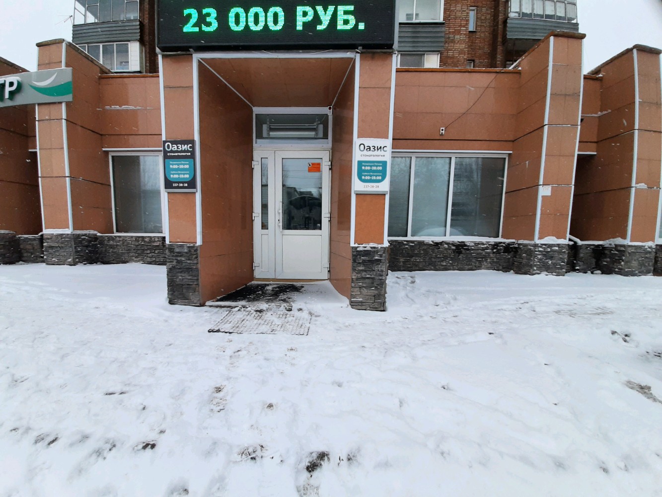 Оазис ул академика павлова 46 фото