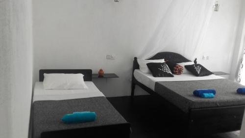 Фото Zircon Ella