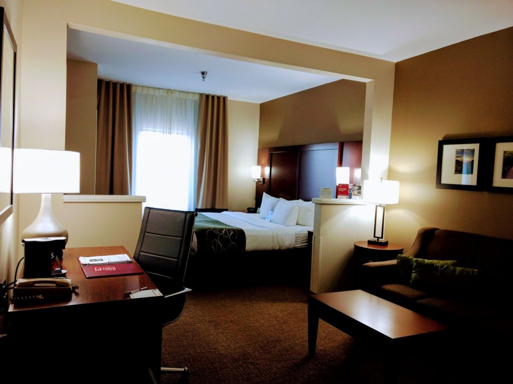 Фото Comfort Suites Johnson City
