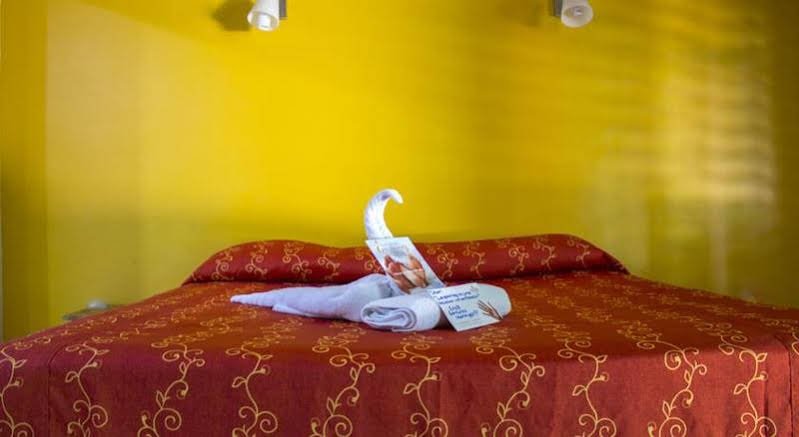 Фото Koox City Garden Hotel