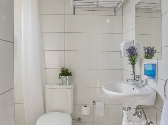 Фото Cactus Hotel