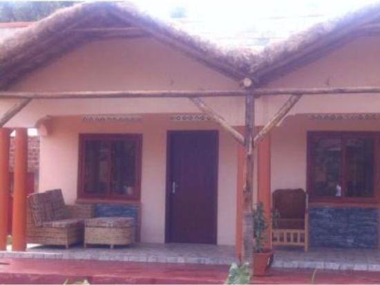 Фото Гостевой Дом Gorilla Africa