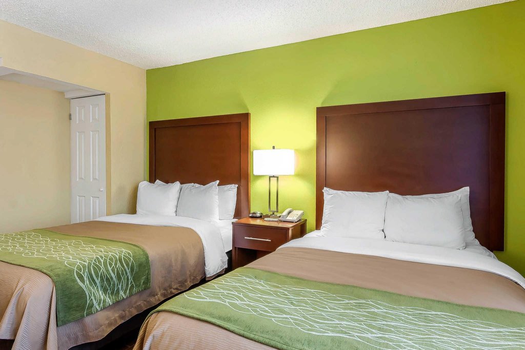 Фото Comfort Inn St Petersburg North