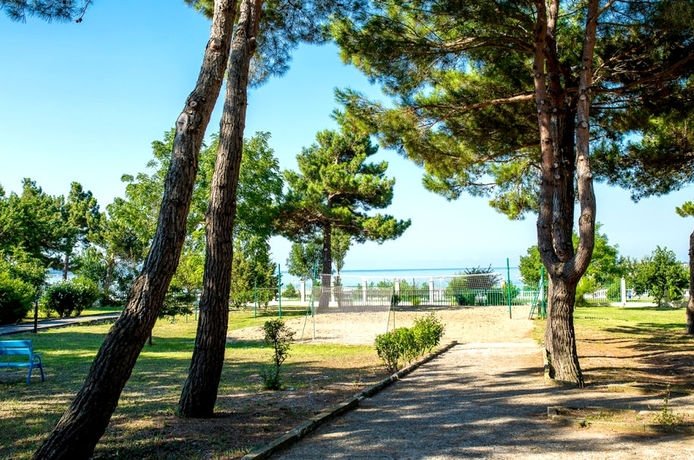 Фото Приветливый берег