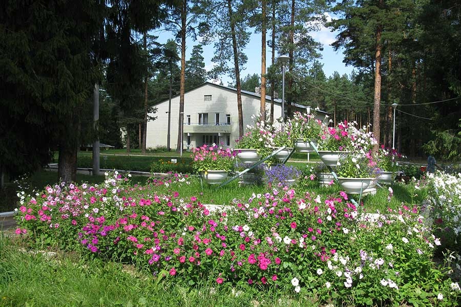 Фото Сосновый Бор