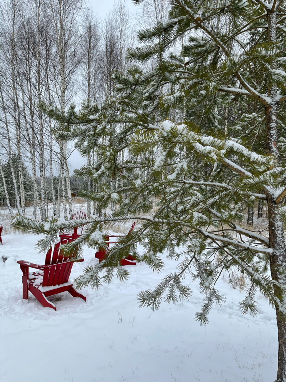 Фото Petra eco village